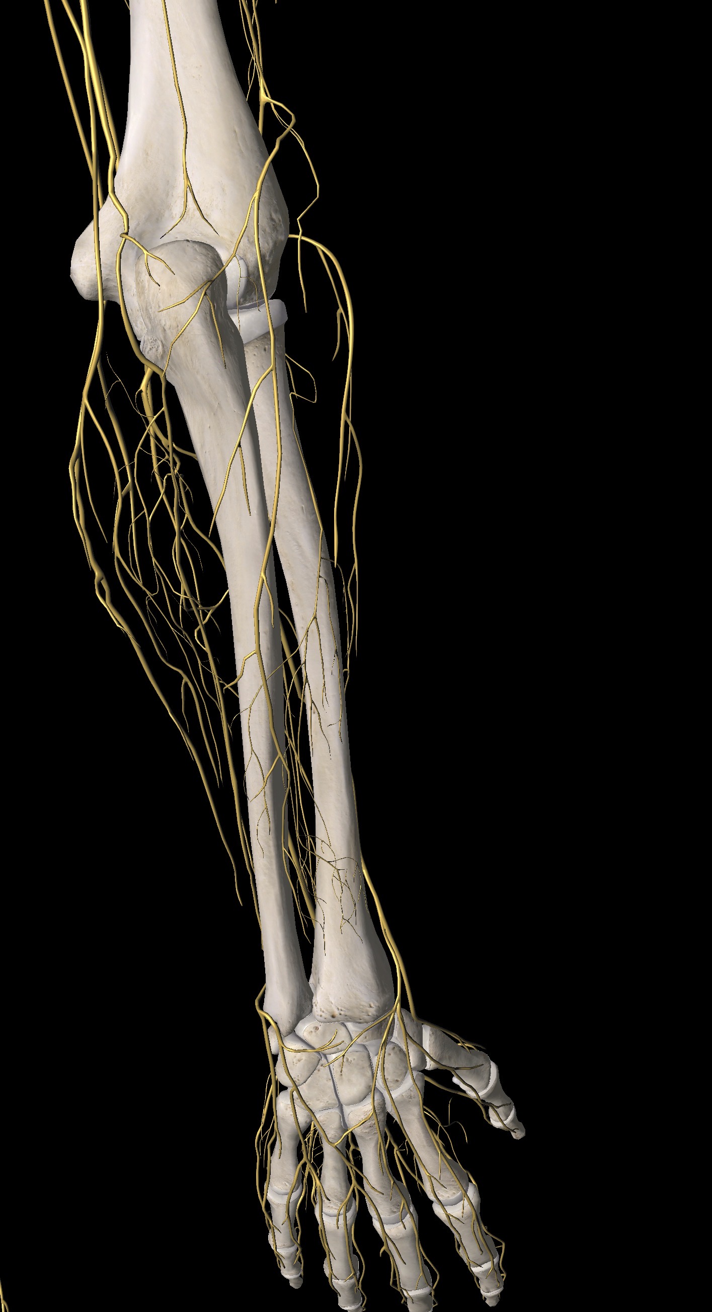 ระวัง! ชานิ้วก้อย-มือลีบ สัญญาณเตือนเส้นประสาทถูกกดทับจากแผลเป็นในอดีต"