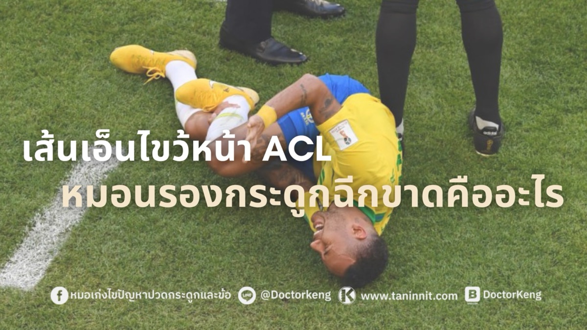 เส้นเอ็นไขว้หน้า ACL หมอนรองกระดูกฉีดขาดคืออะไร